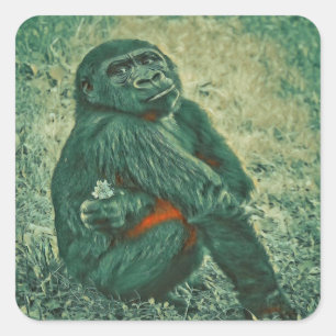 Thinking monkey square sticker