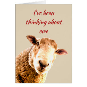 Thinking of Ewe Funny Sheep Animal Humour