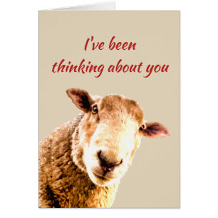 Thinking of Ewe Funny Sheep Animal Humour