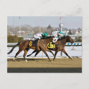 Thinking of Glenn beats Charming Cara Postcard