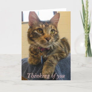 Thinking of you 137 card