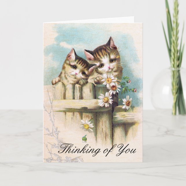 Thinking of you - 2 cute kittys card (Front)