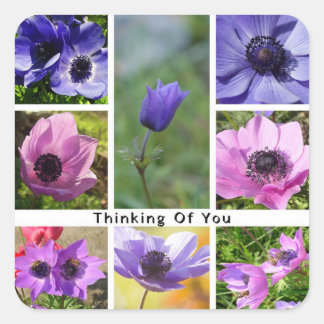 Thinking of You Anemone Photo Collage Square Sticker