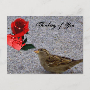 Thinking of You / Any Occasions_ Postcard