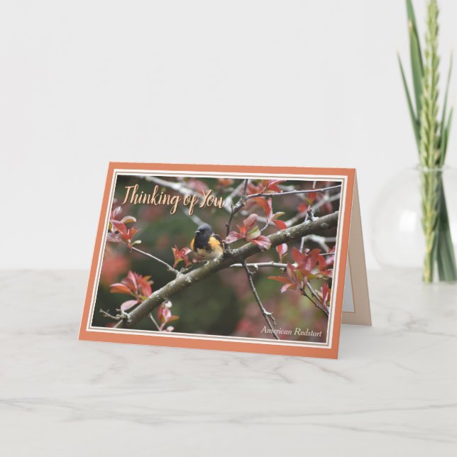 Thinking of you Beautiful Bird Greeting Card (Front)