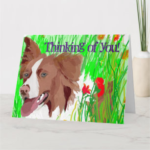 Thinking of You Beautiful Border Collie Love Card