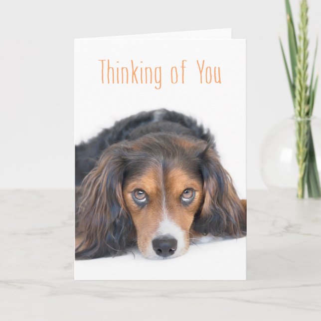 Thinking of You - Beautiful Dog with Soulful Eyes Card (Front)