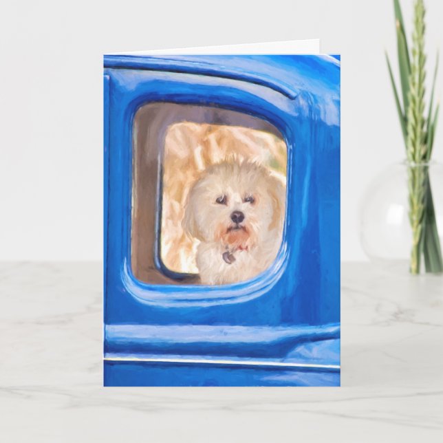 thinking of you-Bichon Frise dog in old blue car Card (Front)