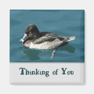 Thinking of You Black White Duck Lake Animal Magnet