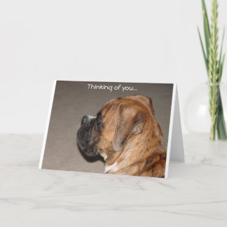 Thinking of you Boxer Card