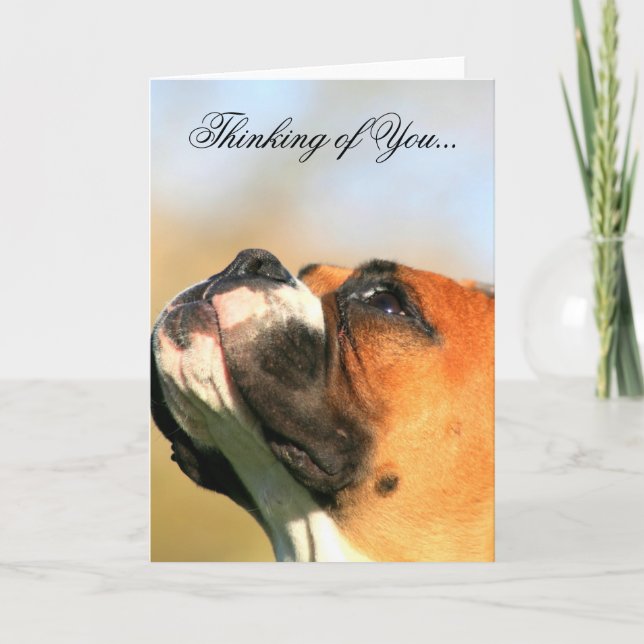 Thinking of You boxer dog greeting card (Front)