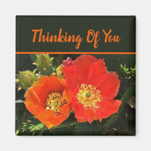 Thinking of You Bright Red Cactus Photo Flower Magnet
