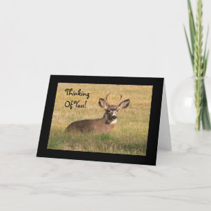 Thinking Of You Buck Card