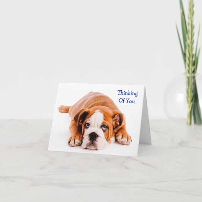 Thinking of You Bulldog Greeting Card (Front)