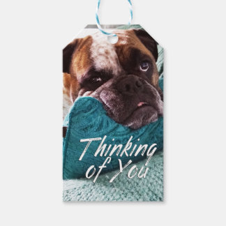 Thinking of You Bulldog Photo Gift Tag