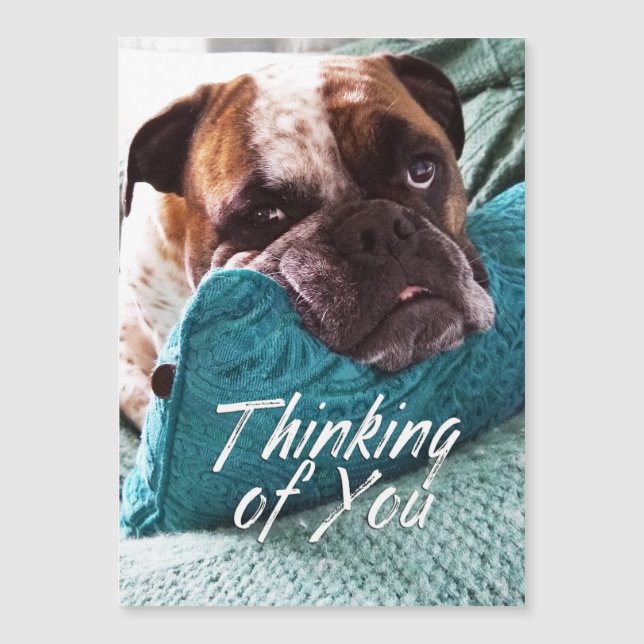 Thinking of You Bulldog Photo Magnetic Card (Front)