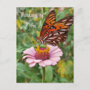 Thinking of You Butterfly Postcard