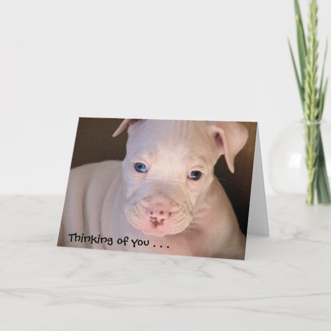 Thinking of you . . . card (Front)