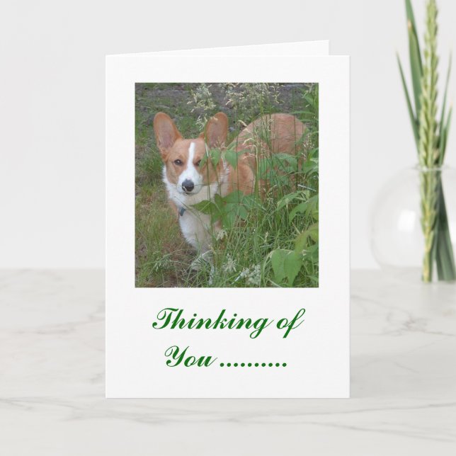 Thinking of You  ... Card (Front)