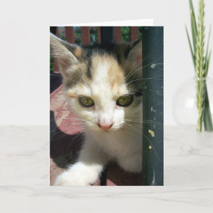 Thinking Of You Card