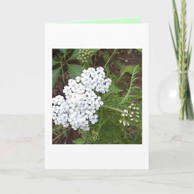 Thinking of You Card (Front)