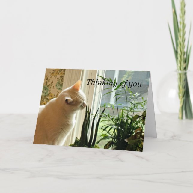 Thinking of you. card (Front)