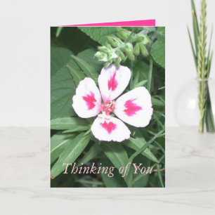 Thinking of You Card