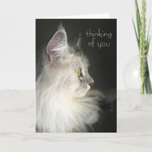 Thinking of You Card Featuring Siberian Cat
