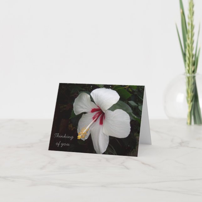 Thinking of You card - flowers (Front)