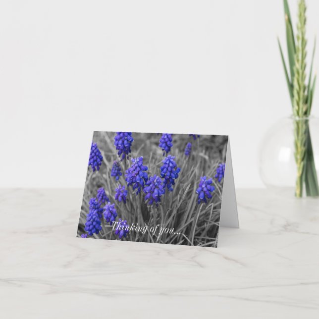 Thinking Of You Card Grape Hyacinths Family Select (Front)