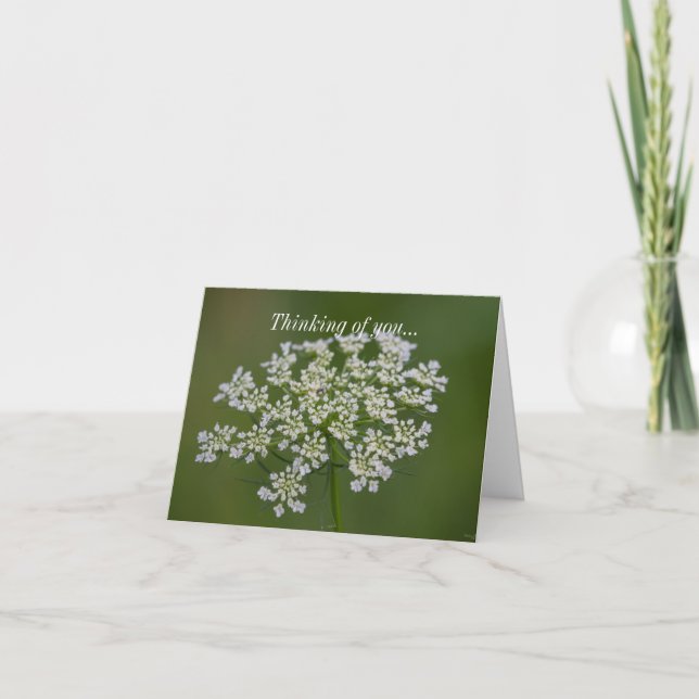 Thinking Of You Card - Queen Anne's Lace (Front)