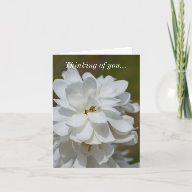 Thinking Of You Card - Silky Magnolia (Front)