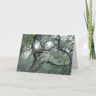 Thinking of You Card Tangled Oak Trees