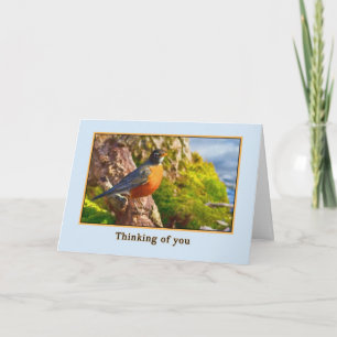 Thinking of You Card with Robin