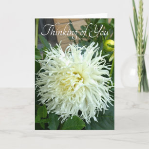 Thinking of You card with white dahlia