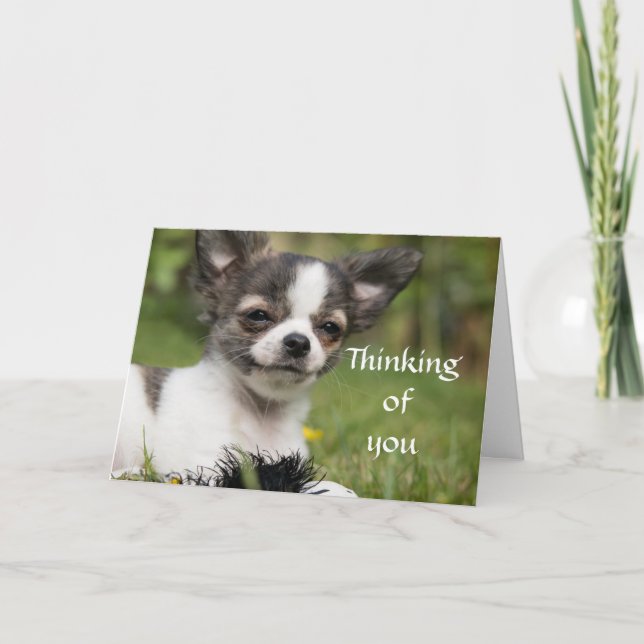 Thinking Of You Chihuahua Card (Front)