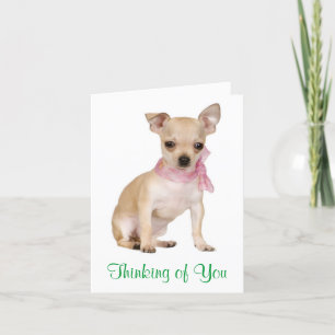 Thinking of You Chihuahua Puppy Dog Greeting Card