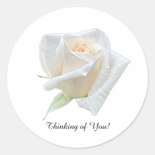 Thinking of You  Classic Round Sticker (Front)