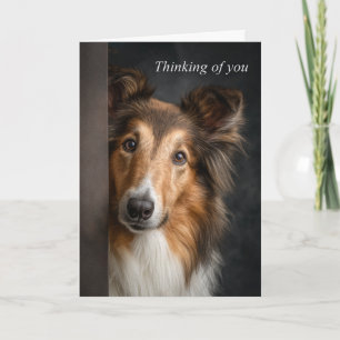 Thinking of You Collie Card