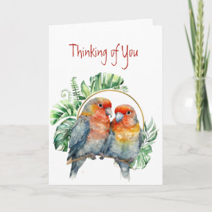Thinking of You Colourful Parrots Love Birds  Card