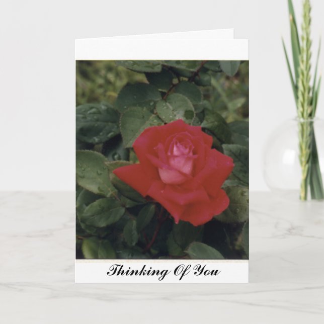 Thinking Of You - Customized Card (Front)