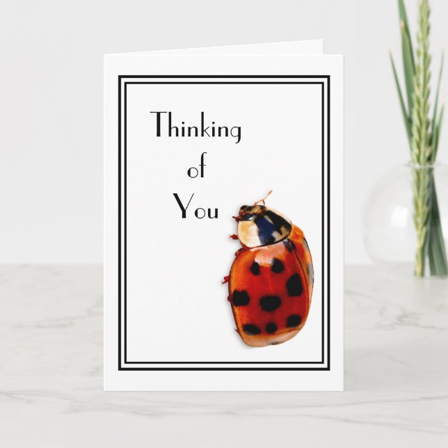 Thinking of You Cute And Classy Little Ladybug Card (Front)