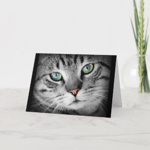 Thinking of You Cute Grey Kitty Cat Card