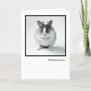 Thinking of You, Cute Mouse Photo Greeting Card