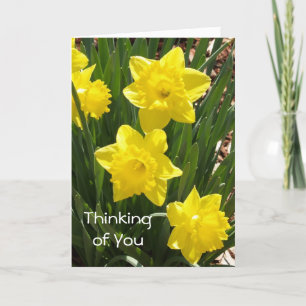 &quot;Thinking of You&quot; Daffodil Card