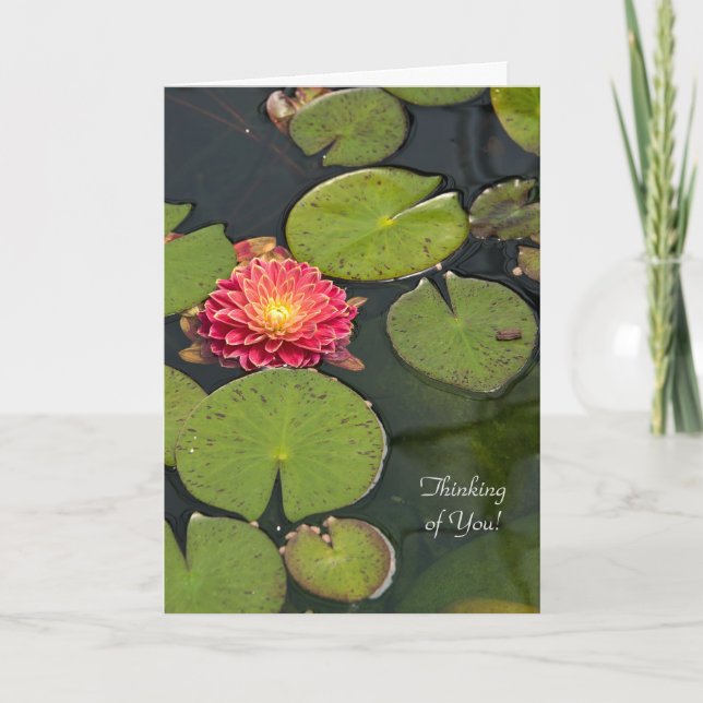 Thinking of You dahlia in lily pads Card (Front)