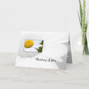 Thinking of You Daisy Card