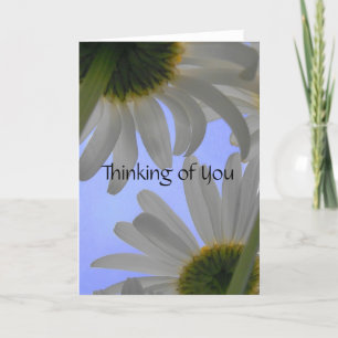 Thinking of You Daisy Day Greeting Card