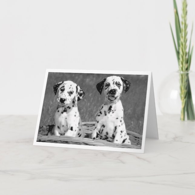 Thinking of You Dalmatian Puppy Dog Hello Card (Front)