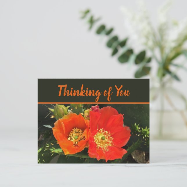 Thinking of You Desert Bloom Photo Cactus Flower Postcard (Standing Front)